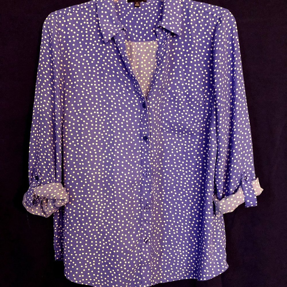 The Limited Blue Polka Dot Button Down Blouse